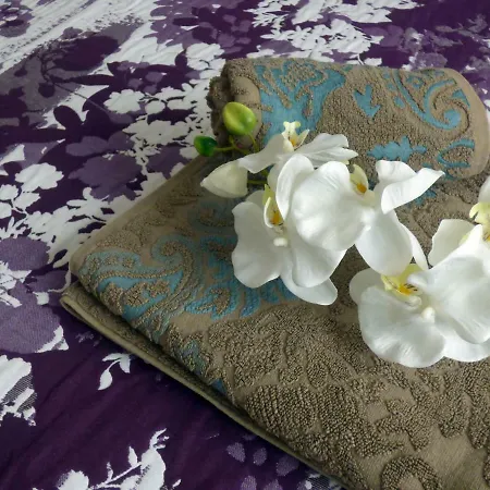 شقة Flor De Siroco