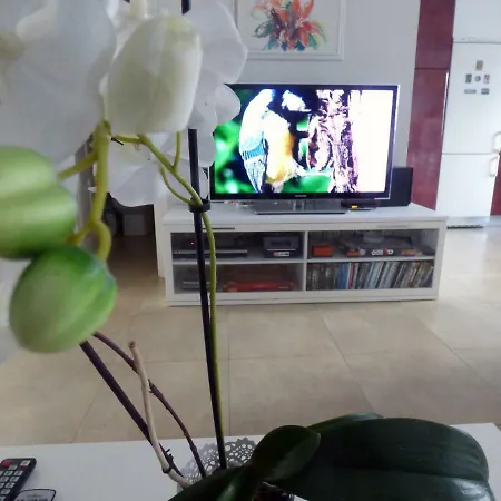 Apartmán Flor De Siroco Playa Honda (Lanzarote)