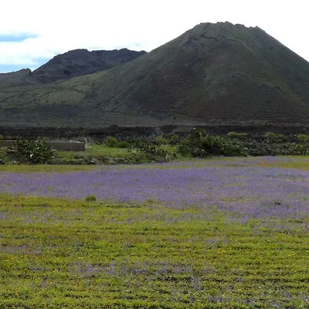 Flor De Siroco شقة *